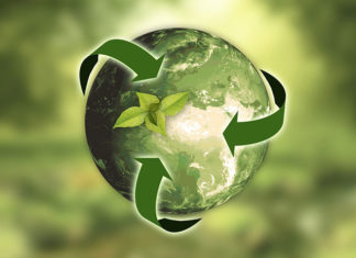 Dowiedz się, jak działają rosnące w siłę firmy recyklingowe